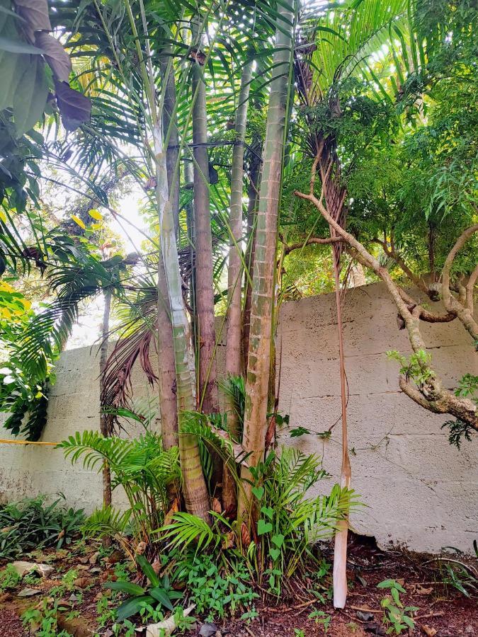 Gogonuts Hostel Varkala Luaran gambar